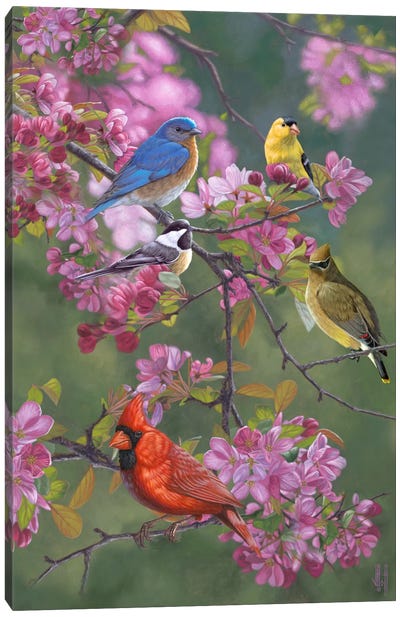 Bird Art: Canvas Prints & Wall Art | Icanvas