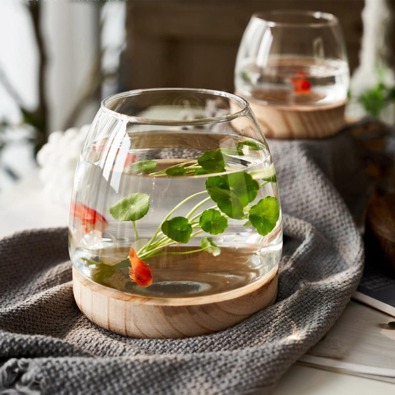 Amazon.Com : Zwmbyn Glass Fish Bowl Vase With Detachable Wood Base, Betta  Fish Tank Clear Glass Round Bubble Bowl Flower Vase, Hydroponic Plant  Terrarium Aquarium Goldfish Bowl For Centerpieces Home Office Decor :