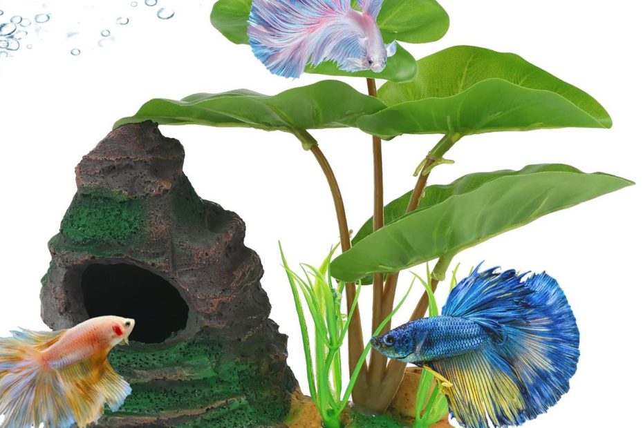 Amazon.Com : Coospider Betta Fish Leaf Pad Hammock Aquarium Decoration  Cichlid Fish Tank Resin Rock Mountain Cave Ornaments Fish Bowl Decorations  For Sleeping Resting Hiding Playing Breeding : Pet Supplies