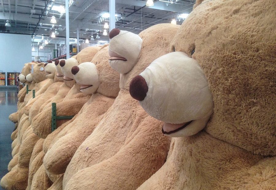 Costco Bear Is Loved By Shoppers