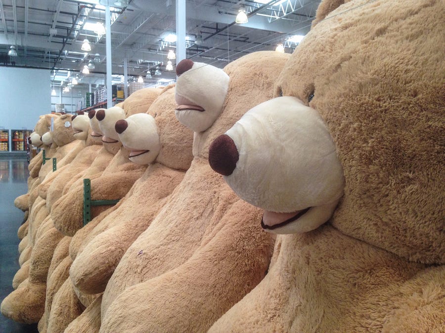 Costco Bear Is Loved By Shoppers