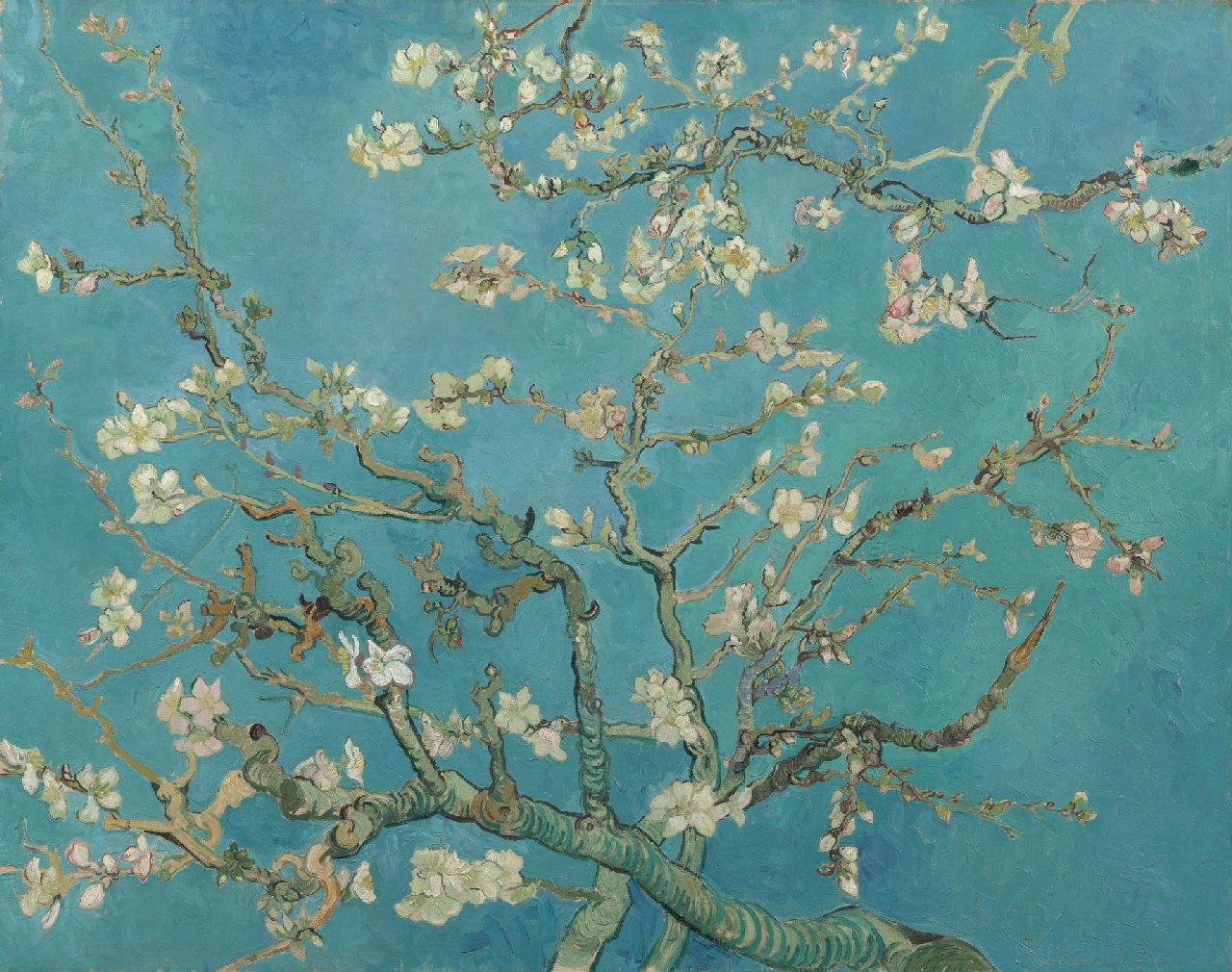 Vincent Van Gogh - Almond Blossom - Van Gogh Museum