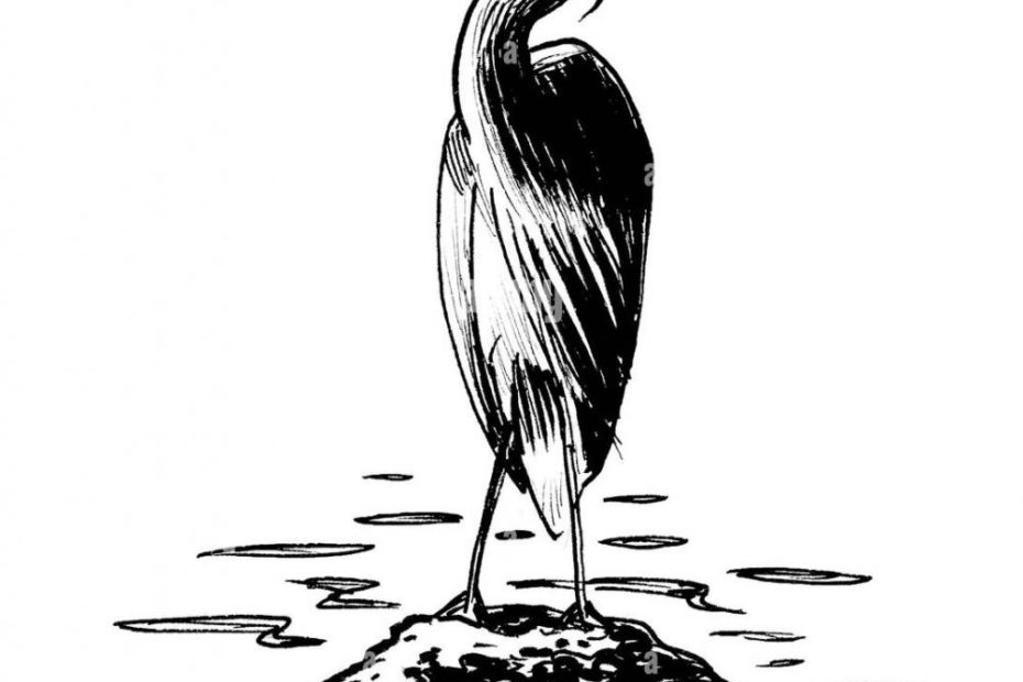 Heron Bird Sitting On A Stone. Ink Black And White Drawing Stock Photo -  Alamy