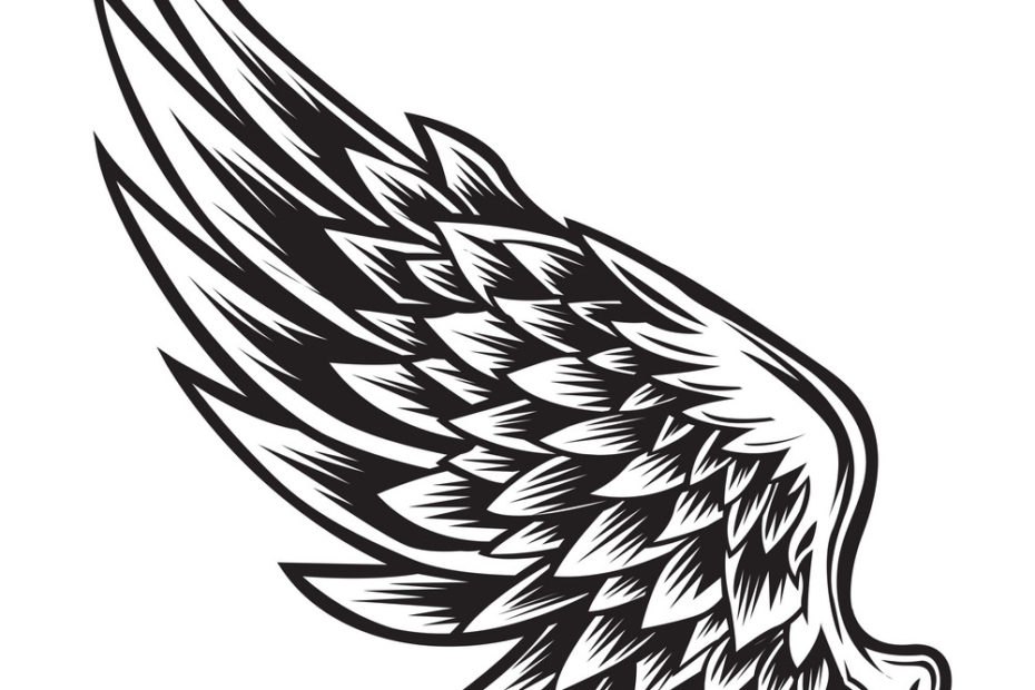 Wings Bird Black White 011 Royalty Free Vector Image